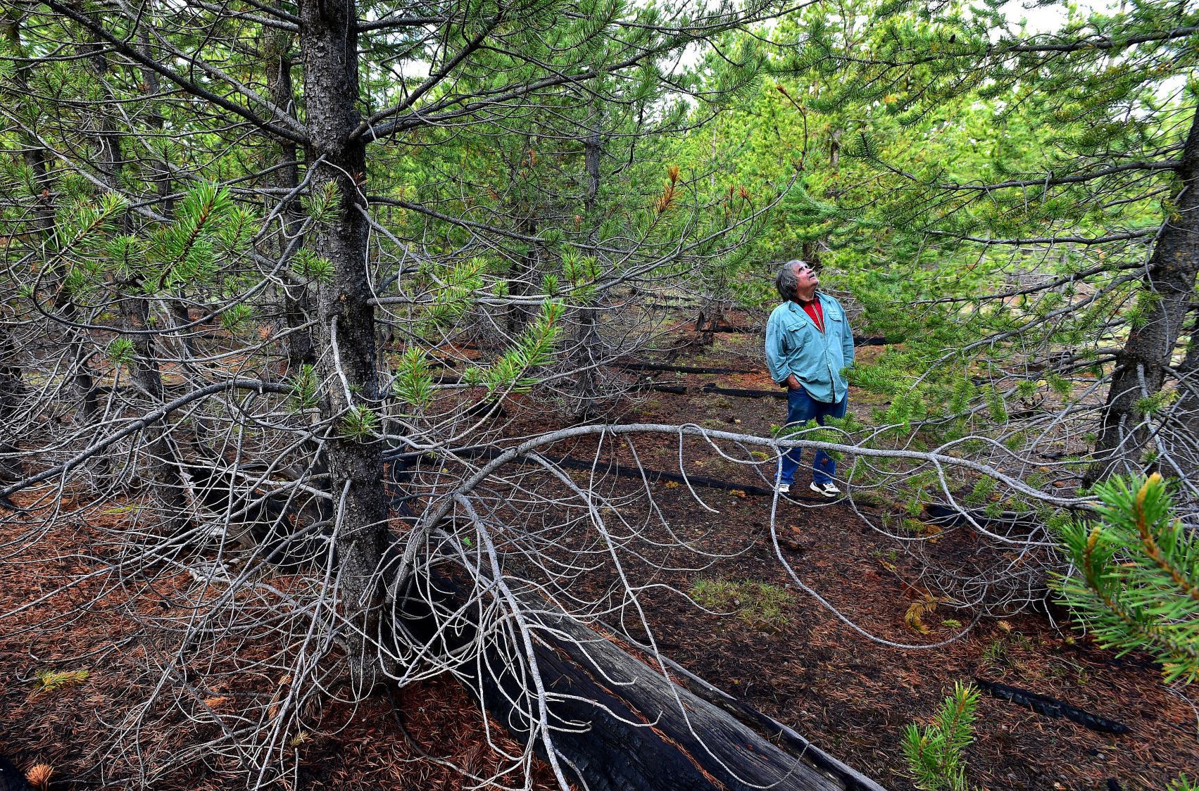 Jeff Henry at the blowdown location in Yellowstone